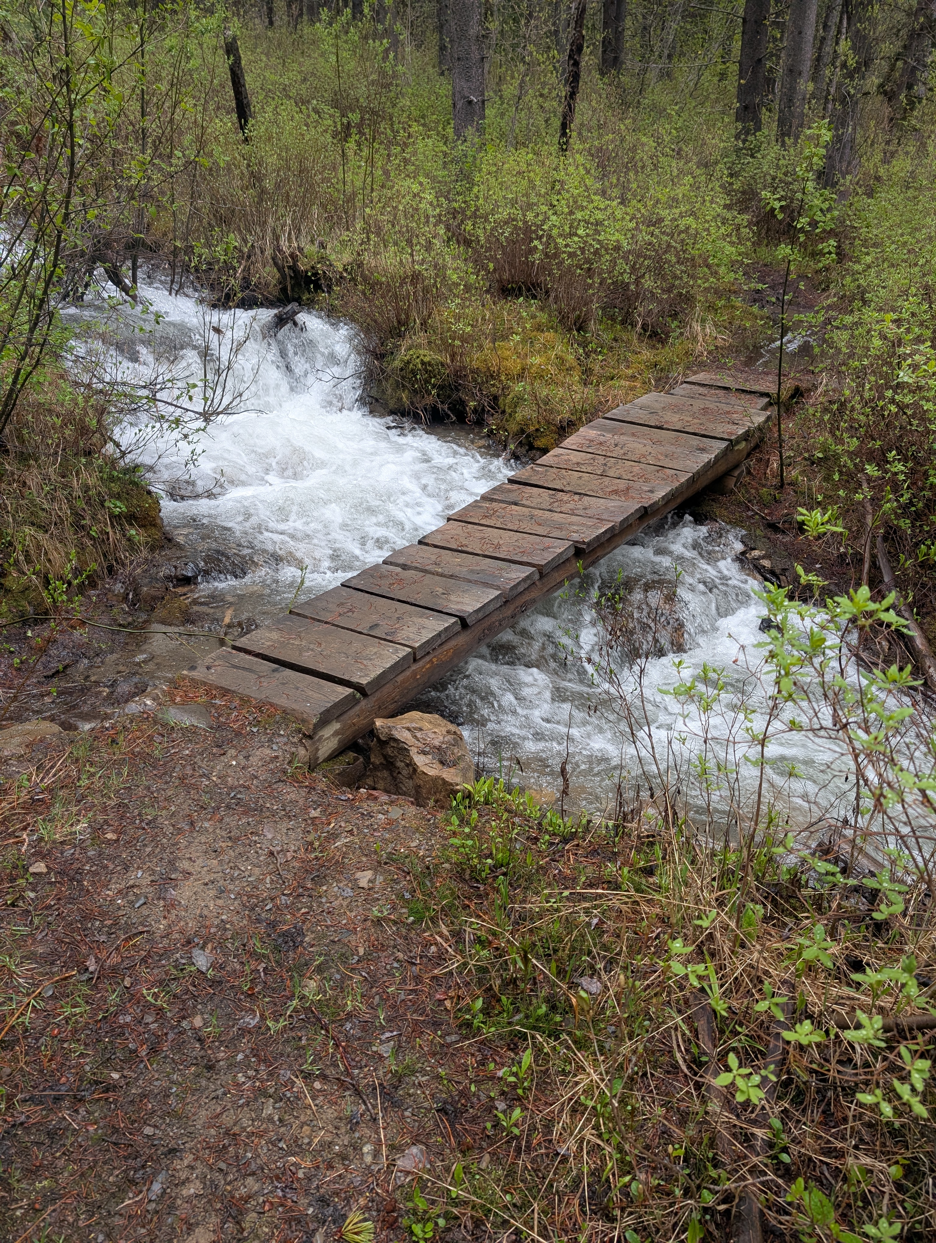 bridge 